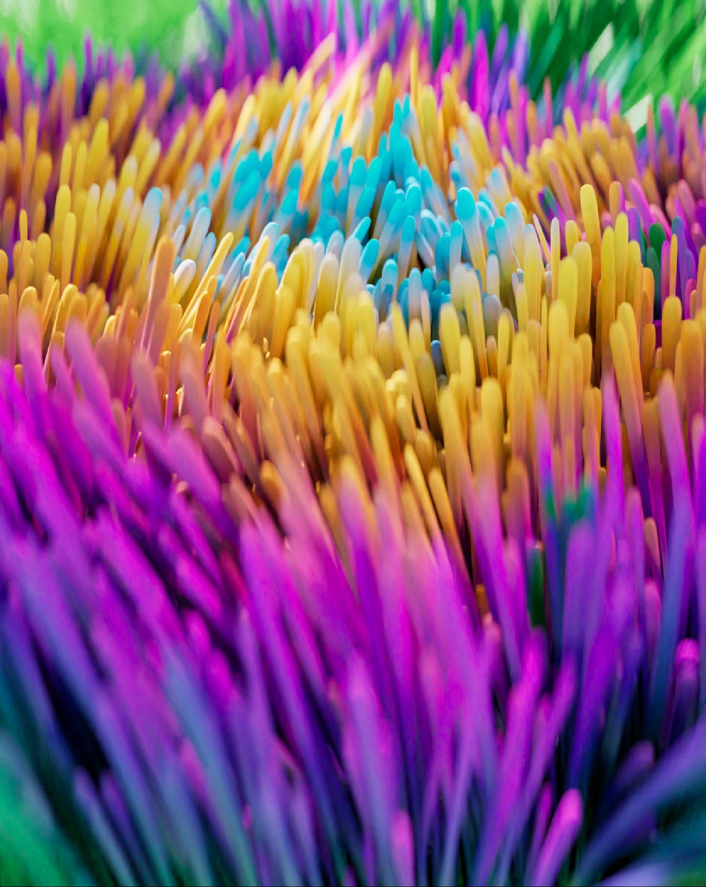 Nature&rsquo;s Playground_image_05