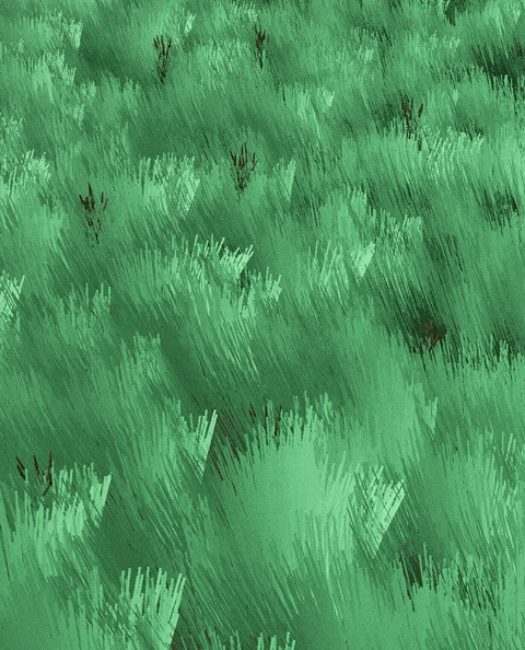 Nature&rsquo;s Playground_image_18